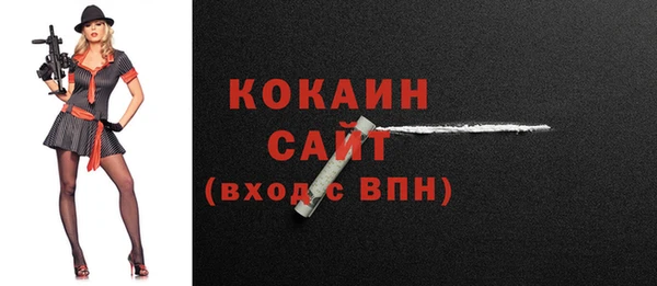 мдпв Верея