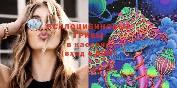 мдпв Верея
