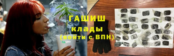 мдпв Верея