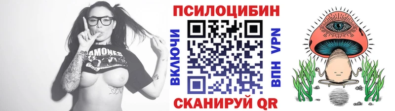 Купить  Сортавала  Псилоцибиновые грибы прущие грибы 